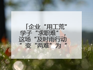 企业“用工荒”学子“求职难”，这场“及时雨行动”变“两难”为“双赢”