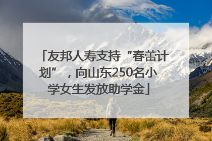 友邦人寿支持“春蕾计划”，向山东250名小学女生发放助学金