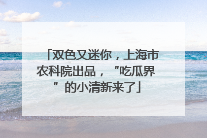 双色又迷你，上海市农科院出品，“吃瓜界”的小清新来了
