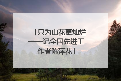 只为山花更灿烂——记全国先进工作者陈萍花