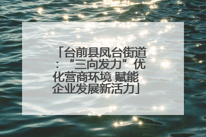 台前县凤台街道：“三向发力”优化营商环境 赋能企业发展新活力
