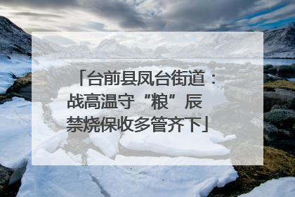 台前县凤台街道：战高温守“粮”辰 禁烧保收多管齐下