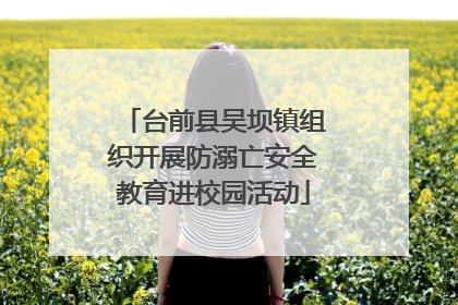 台前县吴坝镇组织开展防溺亡安全教育进校园活动