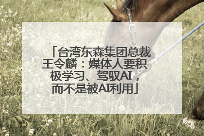 台湾东森集团总裁王令麟：媒体人要积极学习、驾驭AI，而不是被AI利用