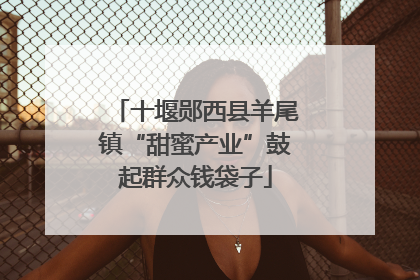 十堰郧西县羊尾镇“甜蜜产业”鼓起群众钱袋子
