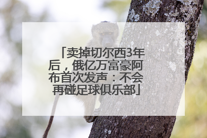 卖掉切尔西3年后，俄亿万富豪阿布首次发声：不会再碰足球俱乐部