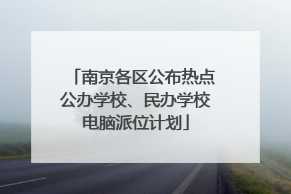 南京各区公布热点公办学校、民办学校电脑派位计划