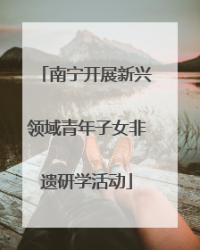 南宁开展新兴领域青年子女非遗研学活动