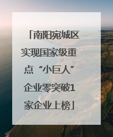 南阳宛城区实现国家级重点“小巨人”企业零突破1家企业上榜