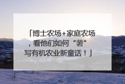 博士农场+家庭农场，看他们如何“薯” 写有机农业新童话！