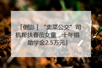 倒影｜“卖菜公交”司机帮扶春蕾女童，十年捐助学金2.5万元