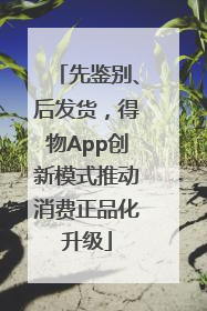 先鉴别、后发货，得物App创新模式推动消费正品化升级