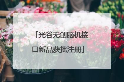光谷无创脑机接口新品获批注册