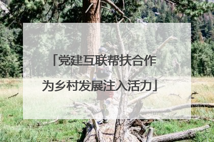 党建互联帮扶合作 为乡村发展注入活力
