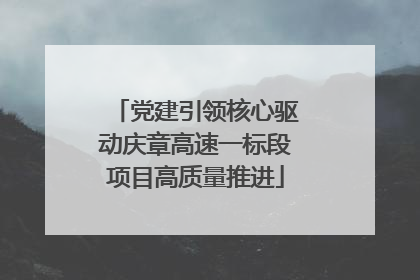 党建引领核心驱动庆章高速一标段项目高质量推进