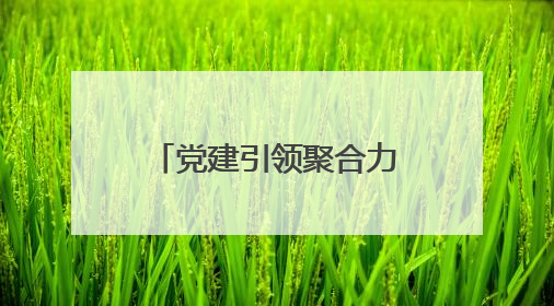 党建引领聚合力 产业赋能谱新篇——刁镇街道全面推进乡村振兴