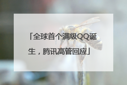 全球首个满级QQ诞生，腾讯高管回应