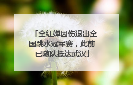 全红婵因伤退出全国跳水冠军赛，此前已随队抵达武汉
