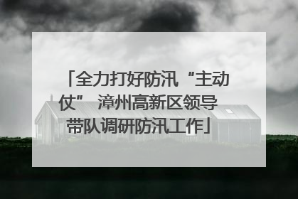 全力打好防汛“主动仗” 漳州高新区领导带队调研防汛工作