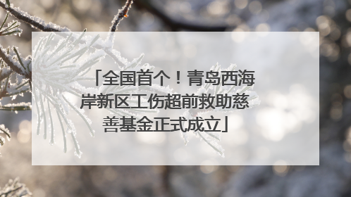 全国首个！青岛西海岸新区工伤超前救助慈善基金正式成立