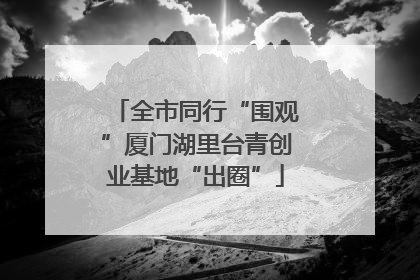 全市同行“围观”厦门湖里台青创业基地“出圈”