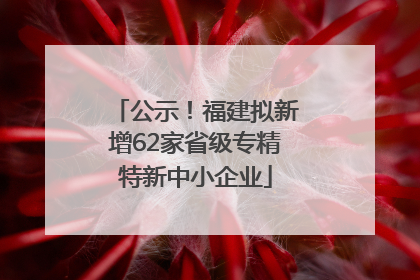 公示！福建拟新增62家省级专精特新中小企业