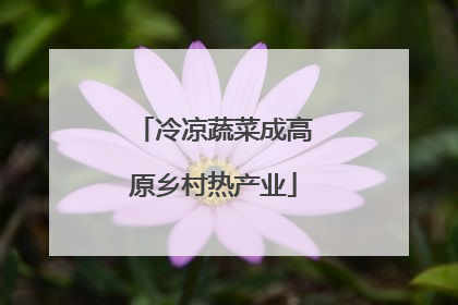 冷凉蔬菜成高原乡村热产业