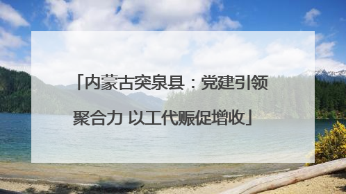 内蒙古突泉县：党建引领聚合力 以工代赈促增收