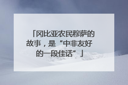 冈比亚农民穆萨的故事，是“中非友好的一段佳话”