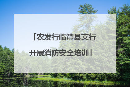 农发行临澧县支行开展消防安全培训