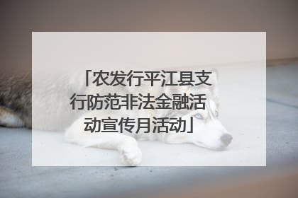 农发行平江县支行防范非法金融活动宣传月活动