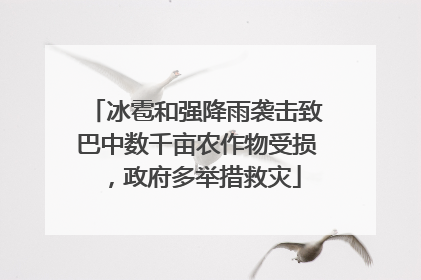 冰雹和强降雨袭击致巴中数千亩农作物受损，政府多举措救灾