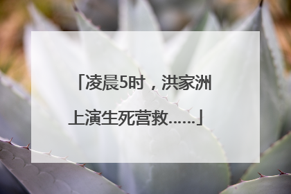 凌晨5时，洪家洲上演生死营救……