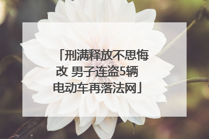 刑满释放不思悔改 男子连盗5辆电动车再落法网