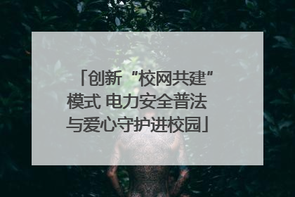 创新“校网共建”模式 电力安全普法与爱心守护进校园