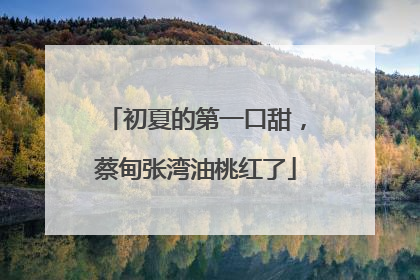 初夏的第一口甜，蔡甸张湾油桃红了