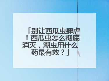 别让西瓜虫肆虐！西瓜虫怎么彻底消灭，潮虫用什么药最有效？