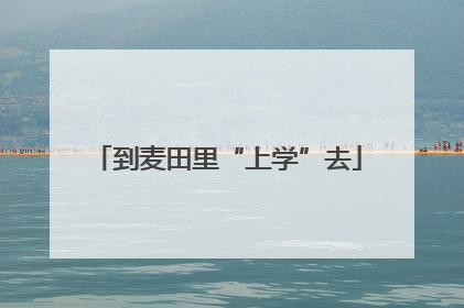 到麦田里“上学”去