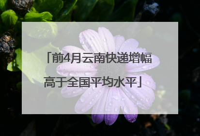 前4月云南快递增幅高于全国平均水平