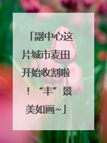 副中心这片城市麦田开始收割啦！“丰”景美如画~