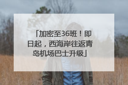 加密至36班！即日起，西海岸往返青岛机场巴士升级