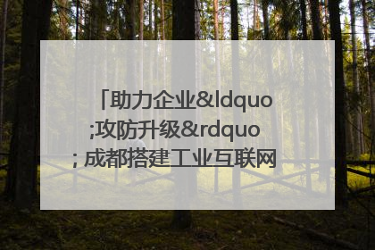 助力企业“攻防升级” 成都搭建工业互联网安全供需对接平台