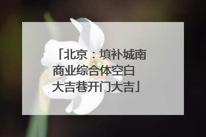 北京：填补城南商业综合体空白 大吉巷开门大吉