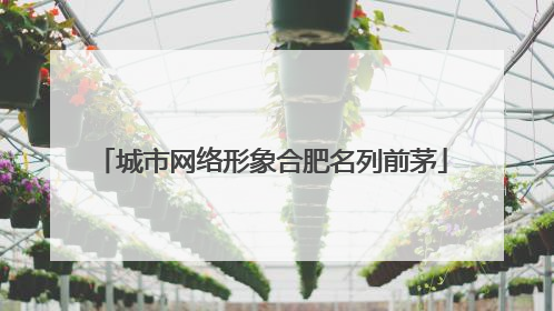 城市网络形象合肥名列前茅