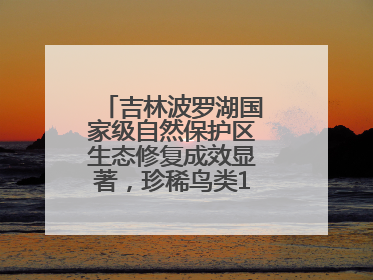 吉林波罗湖国家级自然保护区生态修复成效显著，珍稀鸟类10年增加5倍