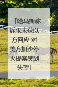 哈马斯称诉求未获以方回应 对美方加沙停火提案感到失望