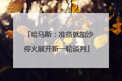哈马斯：准备就加沙停火展开新一轮谈判