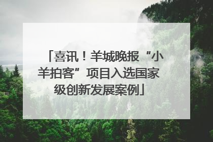 喜讯！羊城晚报“小羊拍客”项目入选国家级创新发展案例