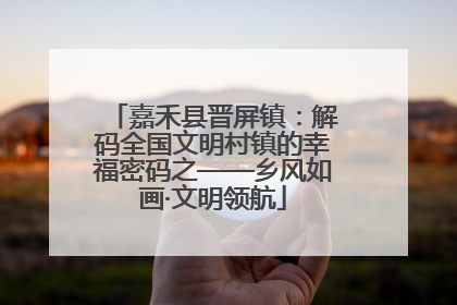 嘉禾县晋屏镇：解码全国文明村镇的幸福密码之——乡风如画·文明领航
