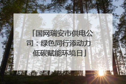 国网瑞安市供电公司：绿色同行添动力 低碳赋能环境日